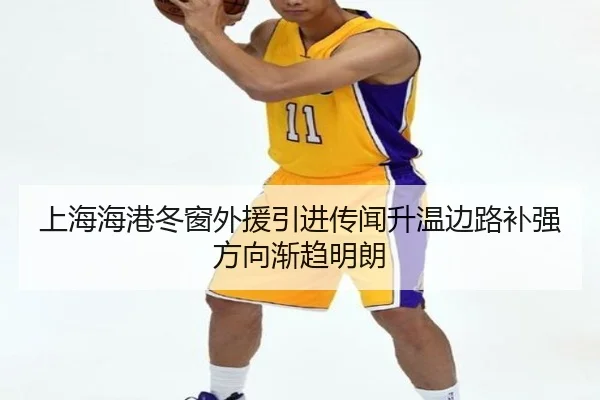 上海海港冬窗外援引进传闻升温边路补强方向渐趋明朗 | ZOSPORTS